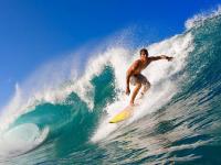 FB体育赛事-温网力克年终总决赛，阿尔卡拉斯扛起全队—一场关于唯一的网球寓言