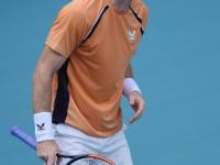 FB体育-关于美国网球队爆冷法国网球队，穆雷高光表现的信息