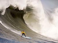 FB体育赛事-波尔绝境燃魂，德国战车惊魂险胜韩国