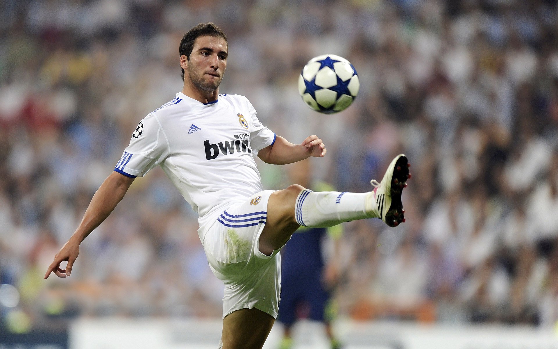 塔图姆用实力击碎质疑，森林狼团队风暴终结国王连胜神话