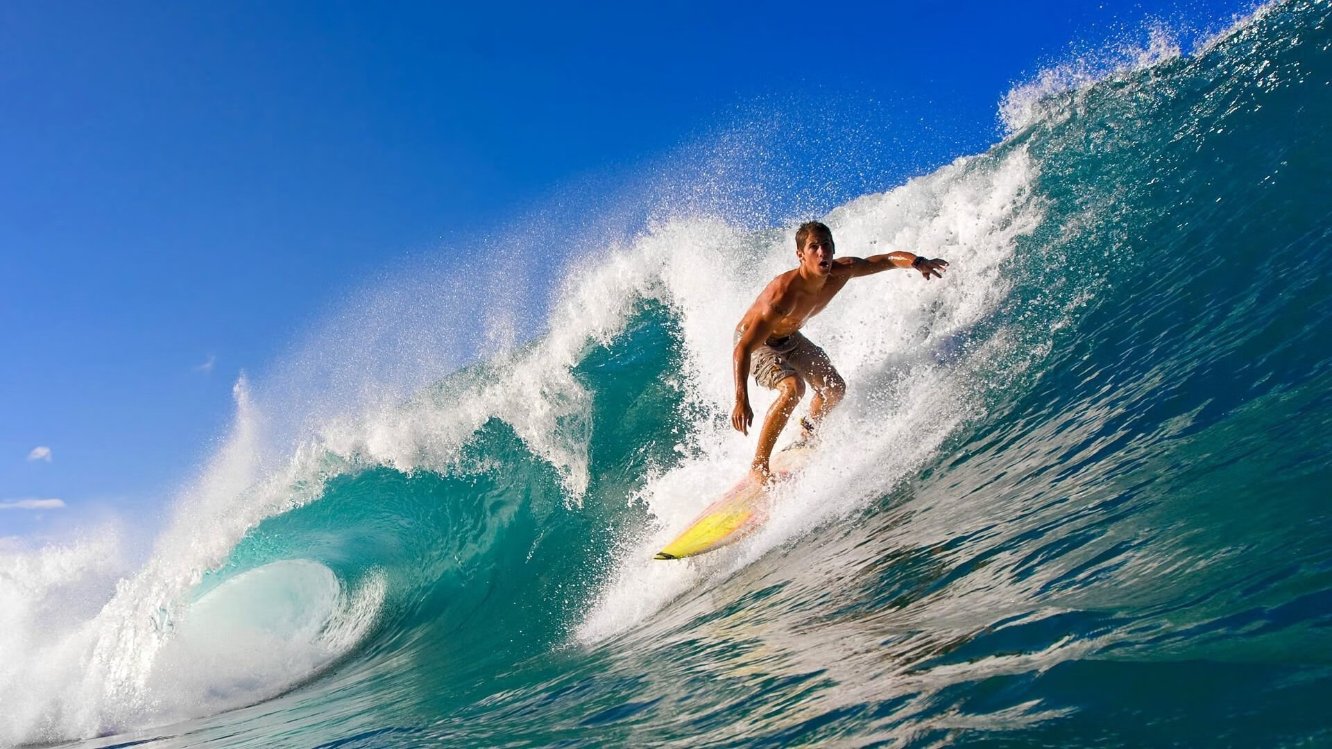 霍勒迪绝境封神!雄鹿鏖战加时擒黄蜂,关键先生定义胜利